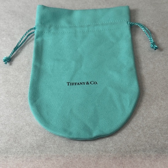 Tiffany & Co. Turquoise Large Drawstring Pouch - Picture 3 of 5